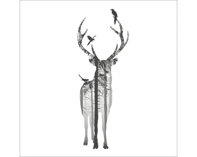 Produktbild von Leinwandbild Deer With Birds 27x27 cm