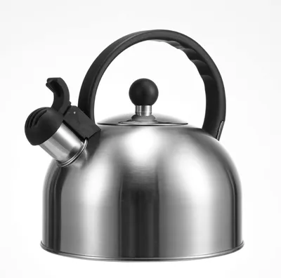 Fluitketel 2,5 l aus Edelstahl, Induktion, grau