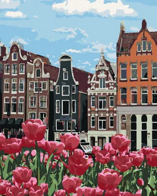 Produktbild von Zuty - Malen nach Zahlen - TULPEN IN AMSTERDAM II, 40x50 cm, mit Keilrahmen (bereits gespannt)