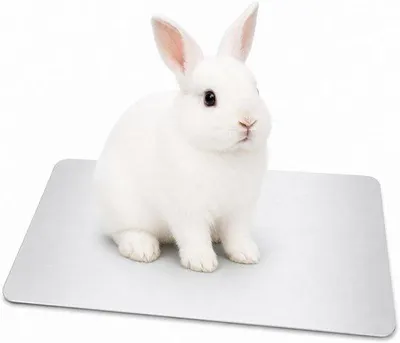 Produktbild von Kühlmatte für Kaninchen, 30x20 cm - Kühlmatte für Kaninchen, Chinchillas, Hamster und Meerschweinchen