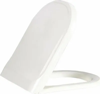A white toilet seat is shown in an open position against a white background.