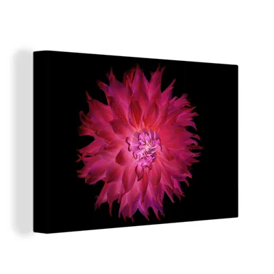 Obrázek produktu pro OneMillionCanvasses® Malba na plátně Nástěnná malba na plátně - Jiřina - květina - růžová - 150x100cm