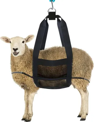Produktbild von INF Wiegeschlinge für Kleintiere, hochfeste Viehschlinge Schwarz
