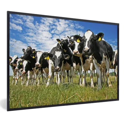 Produktbild von MuchoWow® Gerahmtes Poster Kühe - Gras - Wiese - Tiere 90x60 cm - Poster mit Schwarzem Bilderrahmen Wandposter Rahmen Foto Bilder - Fotorahmen - Foto-Plakat
