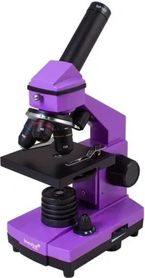 Zdjęcie produktu dla Levenhuk Rainbow 2L PLUS Amethyst