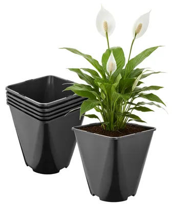 Produktbild von Garronda 5 Stück Kunststoff eckig abgerundet mit Drainagelöchern für Garten (Schwarz, 18 x 18 x 20 cm (5L)) GD-KW-SR
