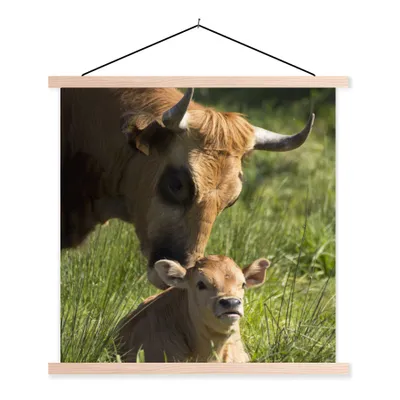 Produktbild von MuchoWow® Textilposter Kuh - Gras - Horn - Kalb 60x60 cm mit holzfarbenen Rahmen - Wanddekoration