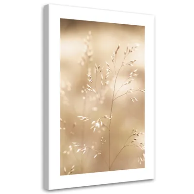 Image de Toile « Herbe sèche sur fond beige » 80 x 120 Feeby Beige Image pour le mur, prête à être accrochée