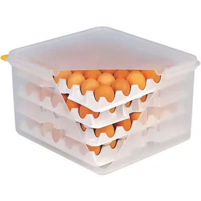 Produktbild von APS Eier-Box mit Deckel, Polyethylen, GN 2/3, Höhe: 200 mm