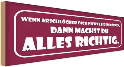 Produktbild von vianmo Holzschild 10x27 cm wenn Arschlöcher dich nicht Dekoration