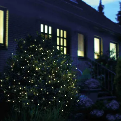 A bush decorated with warm white LED lights at night in front of a house.