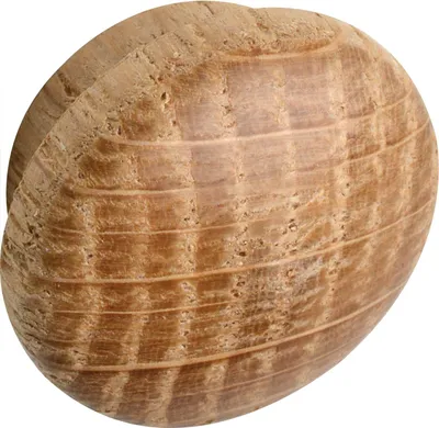 Produktbild von Holzabdeckkappe ø 16 mm, Zapfen ø 12 mm, Zapfenlänge 4 mm, Eiche roh