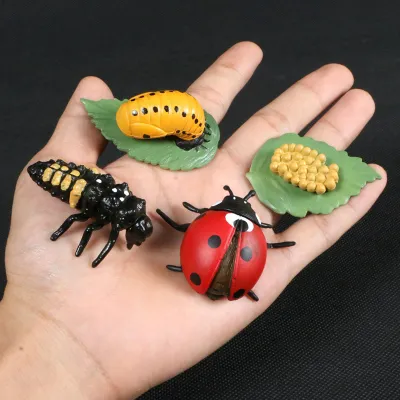 Produktbild von Lebenszyklus-Figuren, lebensechtes Marienkäfer-Modellset aus Vinyl für Kinder, Bildung, Partygeschenke mit Insektenmotiv