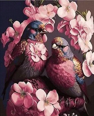 Produktbild von 50x40 cm Malen nach zahlen Set mit Holzrahmen Vogel in Blumen