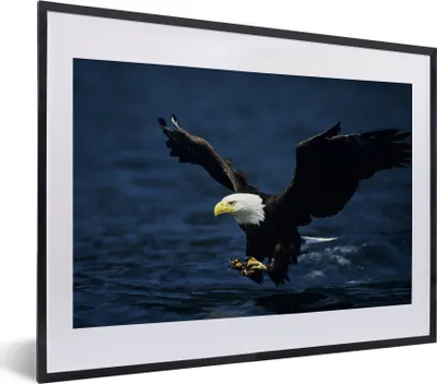 Produktbild von MuchoWow® MuchoWow® Gerahmtes Poster Adler - Nahaufnahme - Wasser 40x30 cm - Poster mit zchwarzem Bilderrahmen - Bilderrahmen - Poster im Rahmen