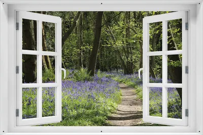 Produktbild von Wallario Outdoor-Poster für Garten oder Balkon 61 x 91,50 cm: Wiese voller blauer Hasenglöckchen im Wald