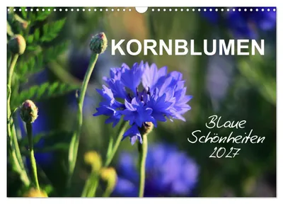 Produktbild von Kornblumen - Blaue Schönheiten (Wandkalender 2027 DIN A3 quer), CALVENDO Monatskalender