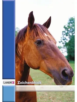 Produktbild von Zeichenblock A4 perforiert VE=20 Blatt