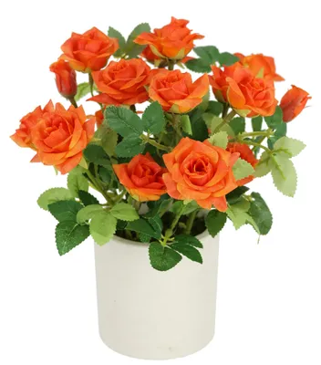 Zdjęcie produktu dla Dzika róża w doniczce, 32 cm, dekoracyjna sztuczna róża, sztuczne róże, dzikie róże, sztuczna roślina