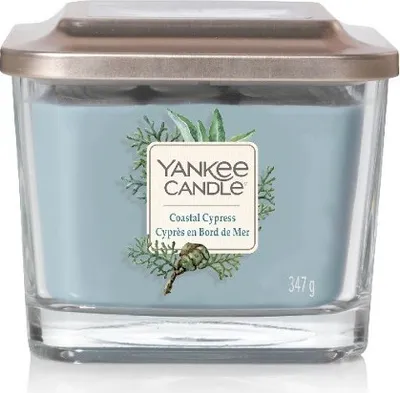 Zdjęcie produktu dla Yankee Candle al Cypress, Kwadrat, Niebieski, Przezroczysty, Cypress, 1 szt.
