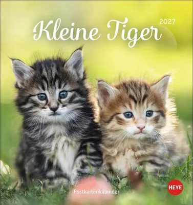 Produktbild von Katzen Postkartenkalender Kleine Tiger 2027