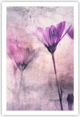 Produktbild von Poster - Poster ohne Rahmen - Blumen Rosa Vintage - 61x91,5 cm - Wand Bild - Wanddeko - Wandbilder - Kunstposter - Wandposter - Bilder - Kunstdruck - Wanddekoration - Wandbild - P2XPA61x91-4432