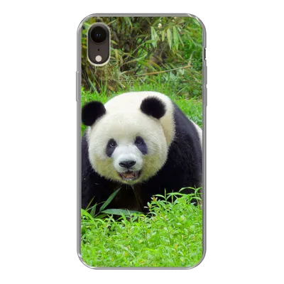 Produktbild von MuchoWow® Handyhülle Schutzhülle Hülle für iPhone XR Panda - Gras - Tier Silikon Softcase Handy Hülle - Schutzdeckel