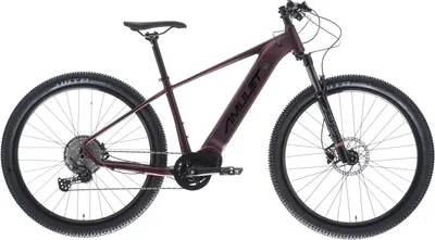 Obrázek produktu pro AMULET 29 eRival 5.5 SH, orient red/black, 2024 Velikost 17/M