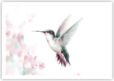 Produktbild von Poster - Poster ohne Rahmen - Kolibri Aquarell Licht - 100x70 cm - Wand Bild - Wanddeko - Wandbilder - Kunstposter - Wandposter - Bilder - Kunstdruck - Wanddekoration - Wandbild - P2XAA100x70-4518