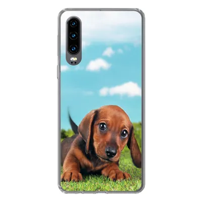 Produktbild von MuchoWow® Handyhülle Schutzhülle Hülle für Huawei P30 Schöner Himmel über einem niedlichen Dackelwelpen Silikon Softcase Handy Hülle - Kartenbesitzer