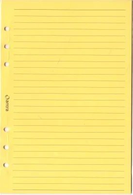 Immagine prodotto di Inserto organizzatore A5 linea giallo