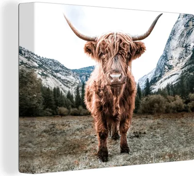 Produktbild von MuchoWow® - Leinwandbilder - Schottischer Highlander - Berg - Tiere, Wandbild, Wanddeko Bilder Wohnzimmer, 120x90 cm