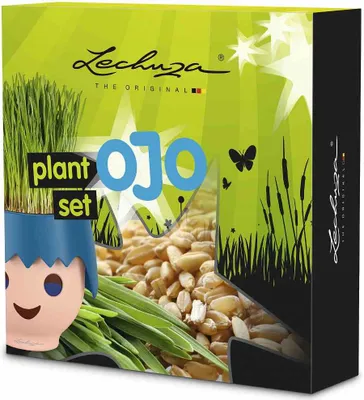 Produktbild von LECHUZA 190-90 OJO Pflanz-Set, mehrfarbig