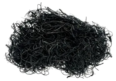 Curly Moos in Schwarz, ca. 500 g lose Tamarindenfaser