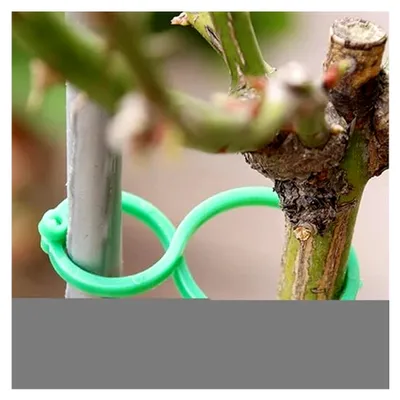 Produktbild von Pflanzenhalter-Clips - Halteclips für Kletterpflanzen zur Unterstützung des Pflanzenwachstums | Rankenhalterung für Innen- und Außenbereich für Gurken, Tomaten, Gemüse und Orchideen