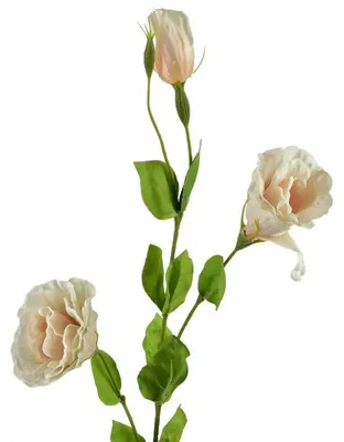 Zdjęcie produktu dla Viridis Kwiat Sztuczny Eustoma 70Cm Gumowany