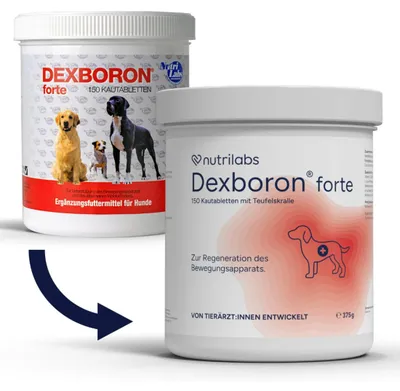 Produktbild von Dexboron forte 150 Kautabletten