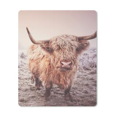 Produktbild von MuchoWow® Mauspad Mousepad Schottische Highlander - Schnee - Sonne 30x40 cm - Mousepads - Maus Mat - Pad - Mausunterlage - Mausmatten