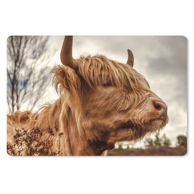 Produktbild von MuchoWow® Schreibtischunterlage Scottish Highlander - Strauch - Heidekraut 60x40 cm - XXL Mauspad - Großes Mauspad