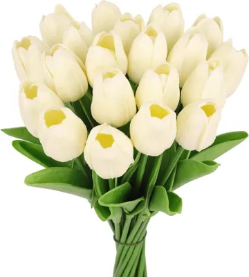 Obrázek produktu pro 12 kusů miniaturních tulipánů – bílé