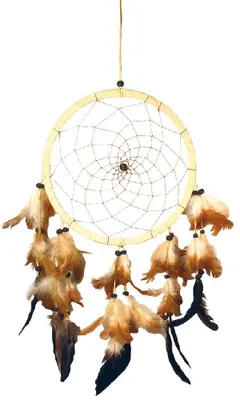 Produktbild von Traumfänger mit langen Federn 20 cm