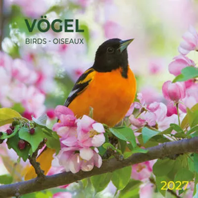 Image de Oiseaux / Birds 2027