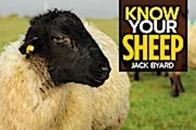 Immagine prodotto di Know Your Sheep
