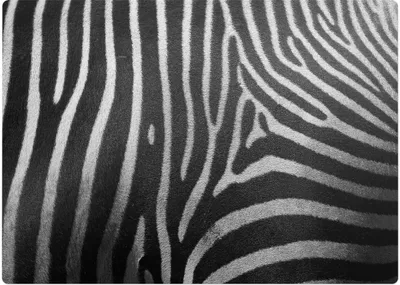 Produktbild von Zebrastreifen – Bodenschutzmatte – Rutschfest – Schutzmatte für Büro – Vinylmatte – Stuhlunterlage  – 140 x 100 cm