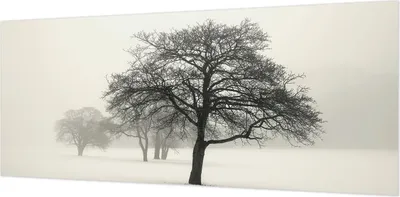 Produktbild von Wandtapete - Dekorative Tapete für Wohnzimmer- Tapetenfolie für Wanddekoration - 208x146 cm - Winterbäume