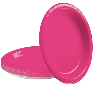 Image de Assiettes en carton roses, lot de 16, diamètre 23 cm, assiettes jetables pour fêtes