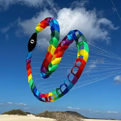 Produktbild von Drachenzubehör Spiderkites Snake Wheel 52152 Regenbogen 300 cm