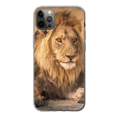 Produktbild von MuchoWow® Handyhülle Schutzhülle Hülle für iPhone 12 Pro Max Löwe - Nahaufnahme - Savanne Silikon Softcase Handy Hülle - Hartschale