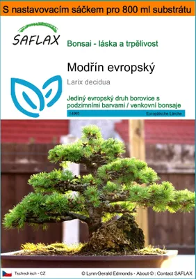 Obrázek produktu pro SAFLAX Garden in the bag - modřín evropský - Larix decidua - 75 Semena - S pěstebním substrátem v praktickém samovztyčovacím sáčku