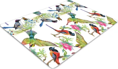 Produktbild von Stuhlunterlage Bürostuhlunterlage 120 cm x 90 cm Bodenmatte Bürostuhlunterlage - Bunte Vögel